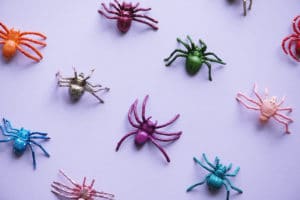 Little Spiders