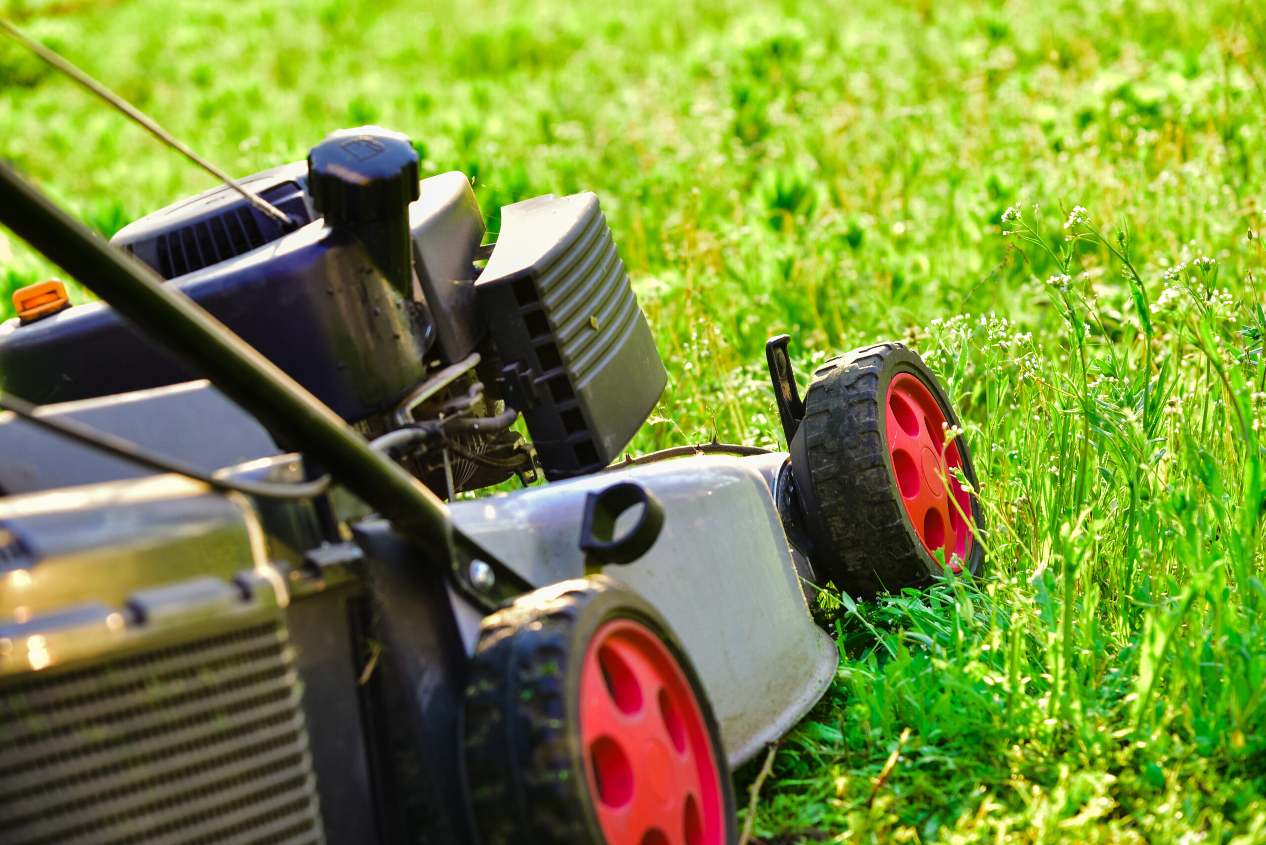 mowing florida lawn