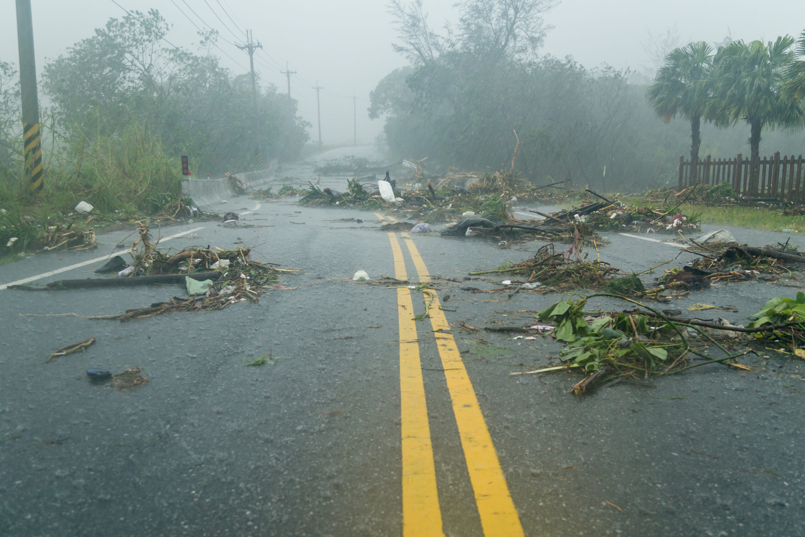 after hurricane pest control debris in road