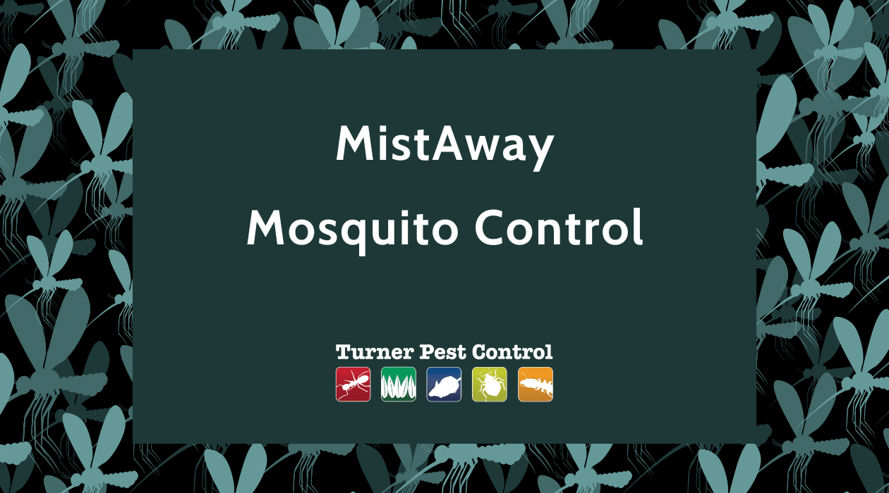 mistaway mosquito control