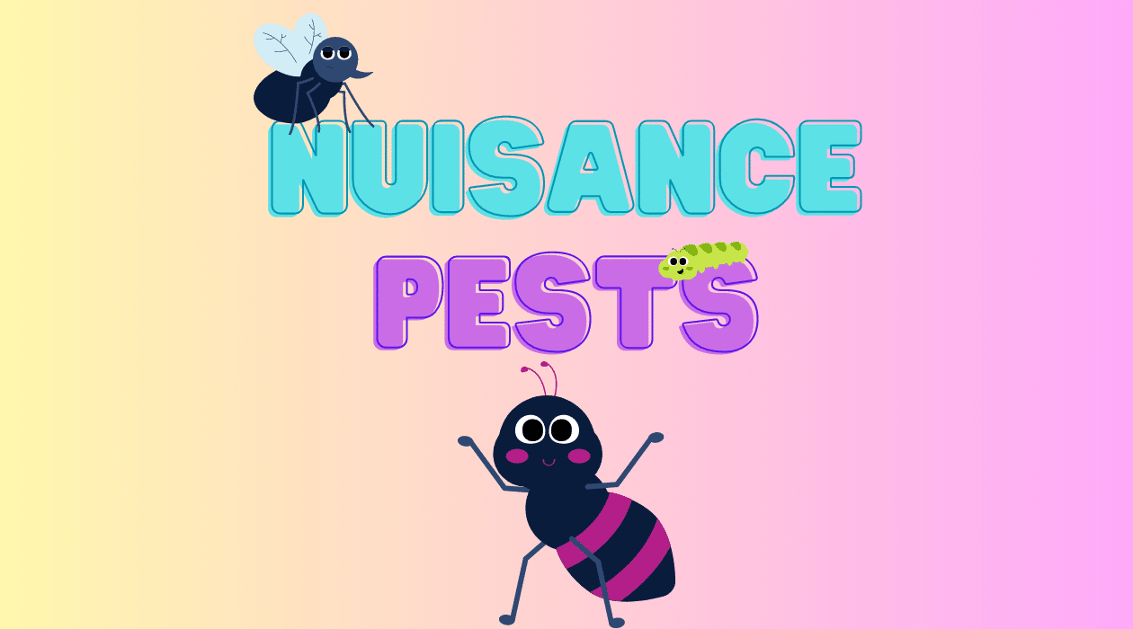 Common summer Nuisance Pests This Time of Year