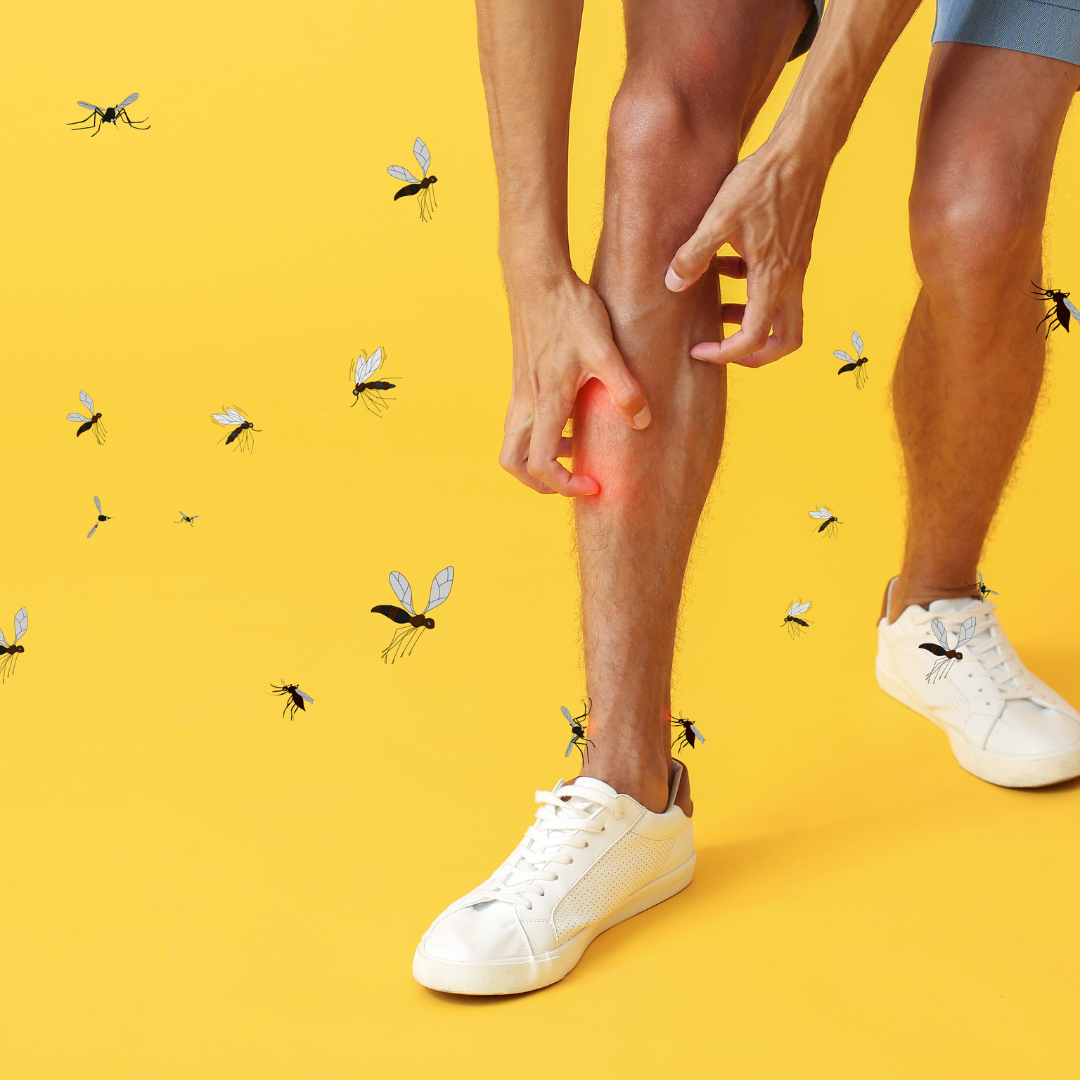 image of person scratching legs being bitten by mosquitoes for the blog: What Is the Most Effective Mosquito Control?