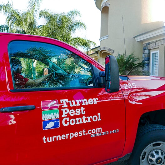 Turner Pest Control lawn outdoor pest control