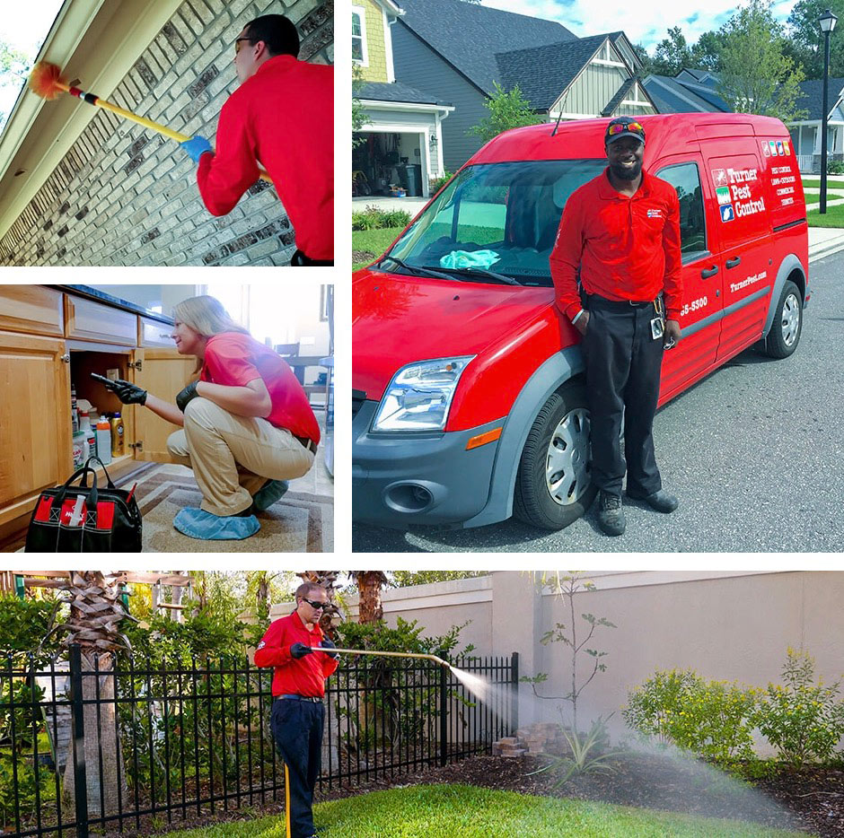 photo-grid-residential-pest-control