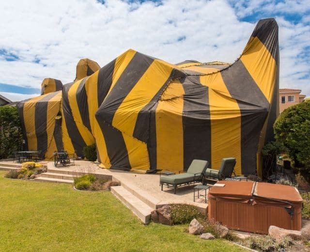 whole-structure-fumigation-tenting