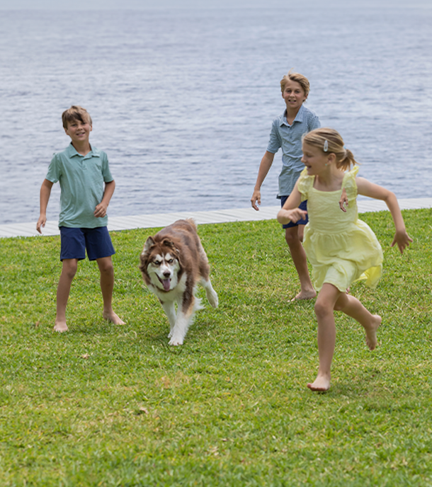 family playing on lawn