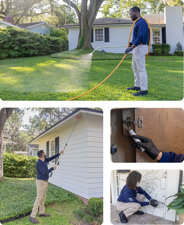 residential pest control