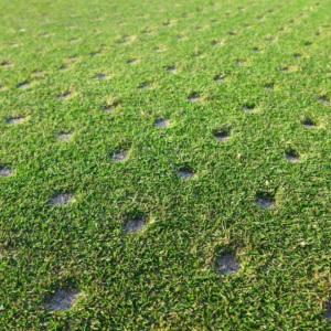 A lawn featuring holes after being spiked for aeration. 