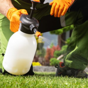 A lawn care worker sprays a lawn with herbicides.