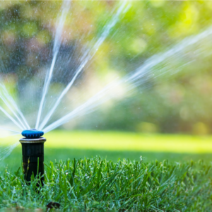 A sprinkler waters a lush green lawn.