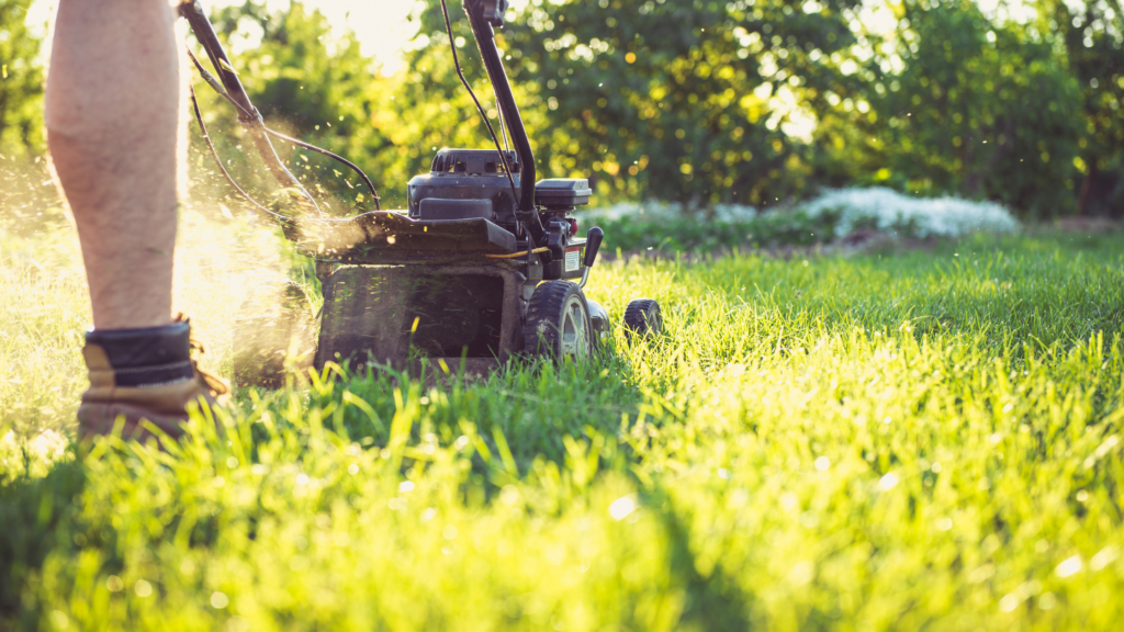 A man mows his lawn on a warm, sunny day.