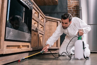 Melbourne specialized pest control expert spraying around kitchen cabinets