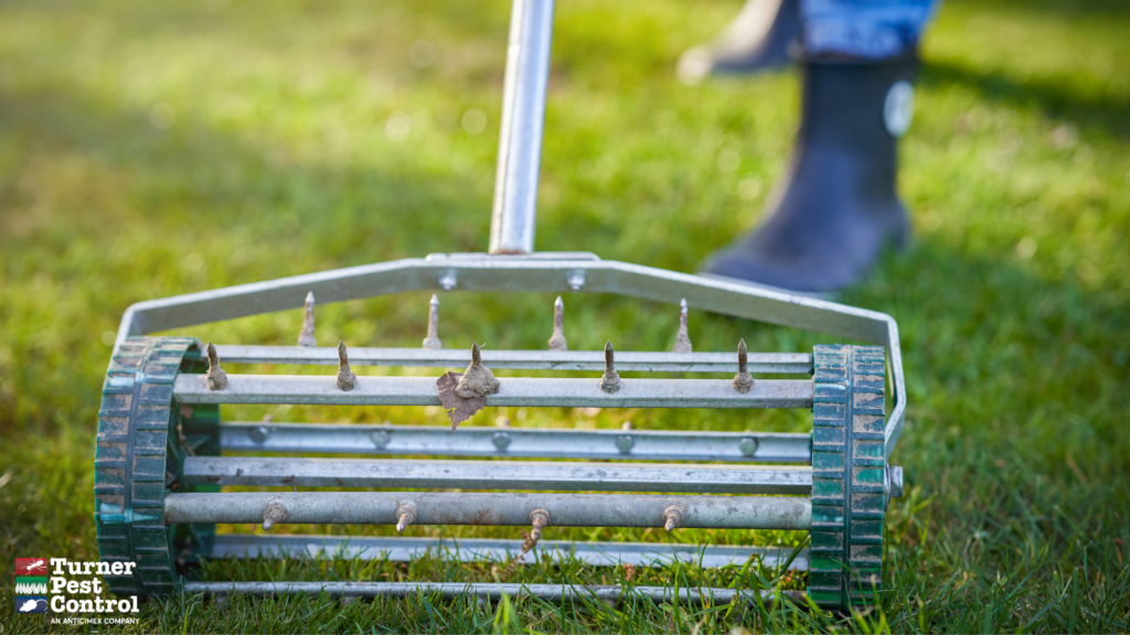 A lawn worker pushes an aeration tool across a yard.