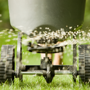 Lawn fertilization in spring is important to keep your grass healthy.