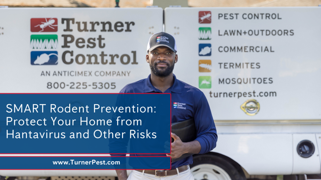 Protect your home from hantavirus with the pros at Turner Pest Control