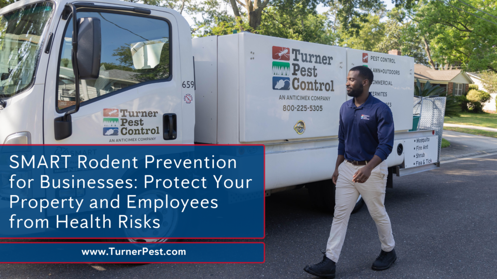 Protect Your Property and Employees from Rodent Borne Ilnesses