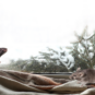 Two mice sit in the window of a home during winter.